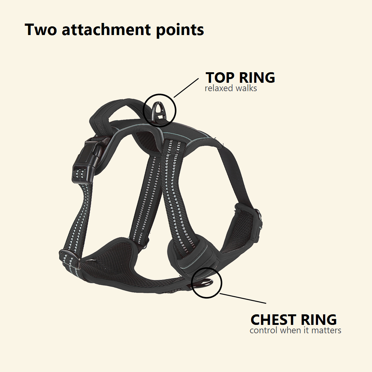The harness front chest attachment and back attachment