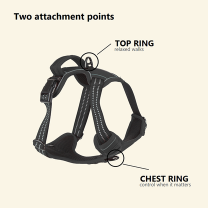 The harness front chest attachment and back attachment