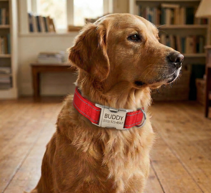 Personalized Dog Collar