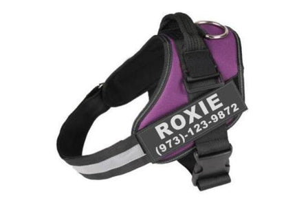 Personalized Reflective Dog Harness