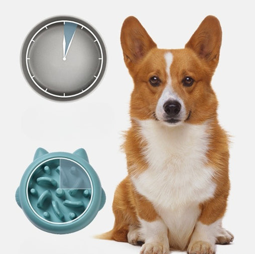 Dog Slow Feeding Bowl
