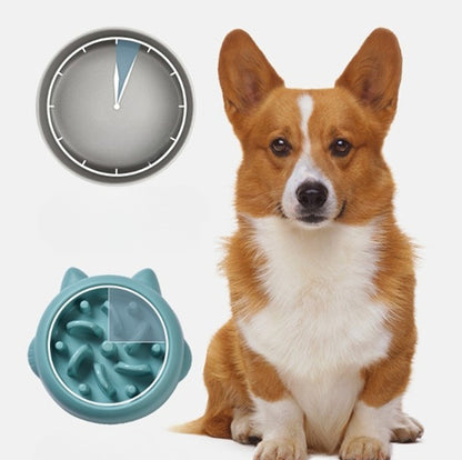 Dog Slow Feeding Bowl