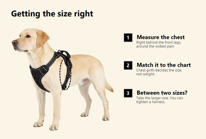 How to measure around the widest part of your dog's chest