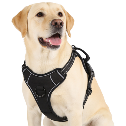 Yellow Labrador wearing the KindPet no-pull harness