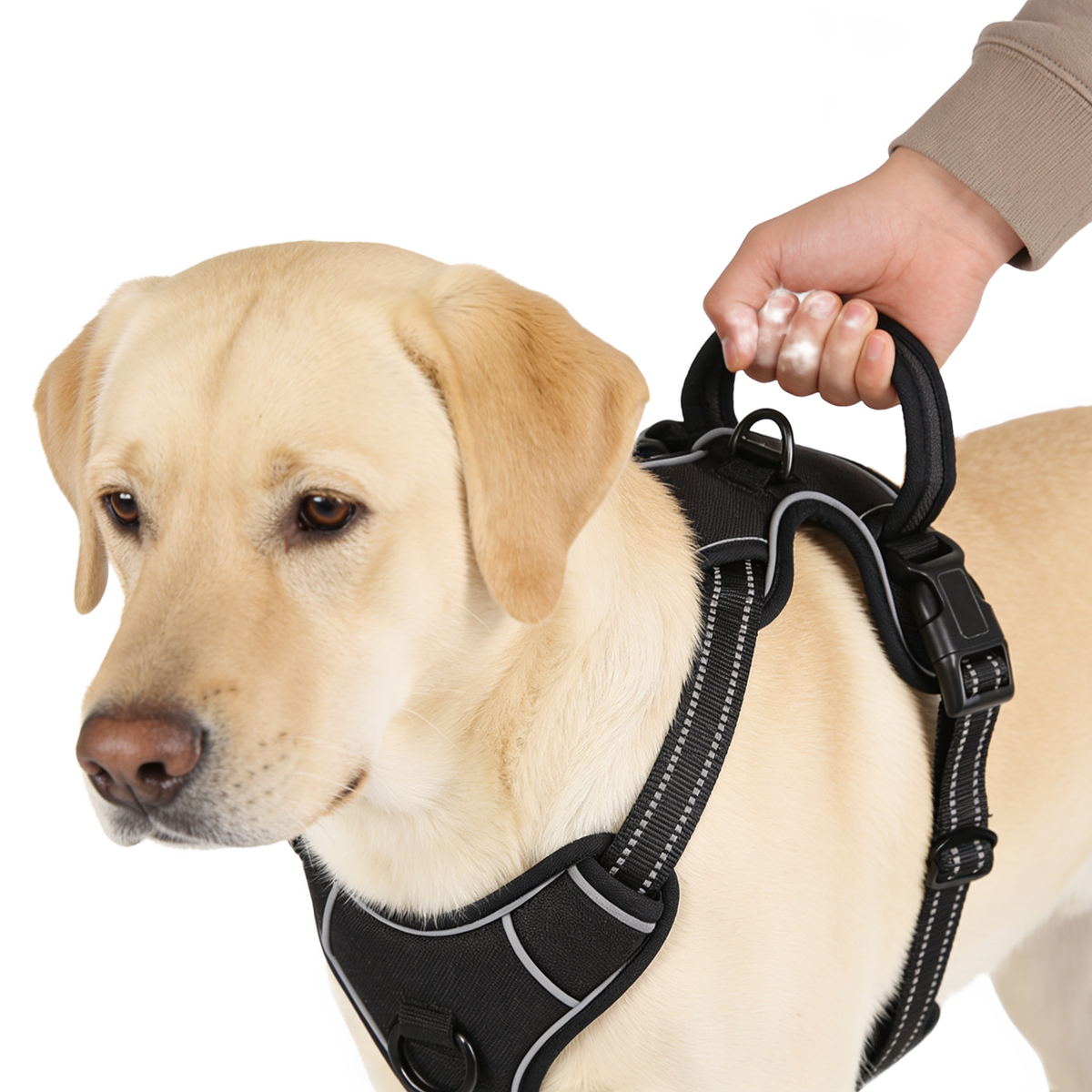 The top grab handle in use on the harness